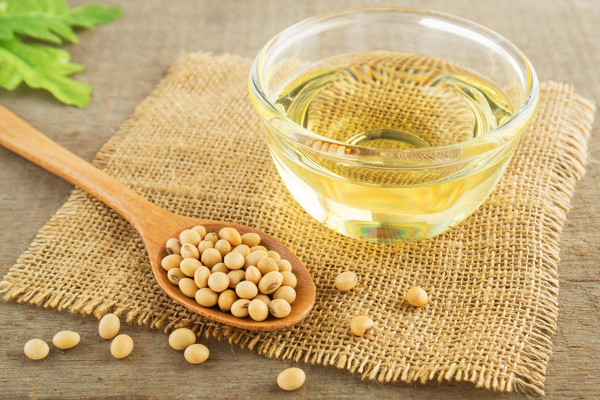 soyaolje - en kilde til omega-6
